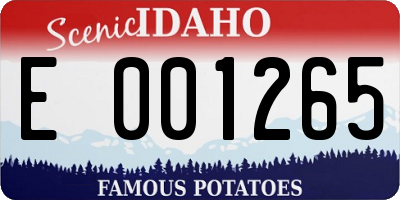 ID license plate E001265