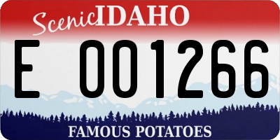 ID license plate E001266