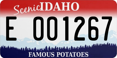 ID license plate E001267