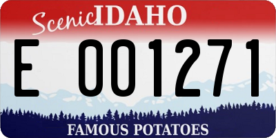 ID license plate E001271