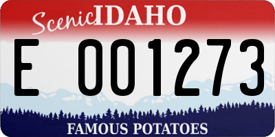 ID license plate E001273