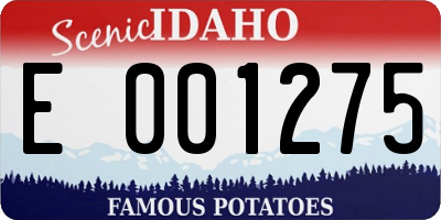 ID license plate E001275