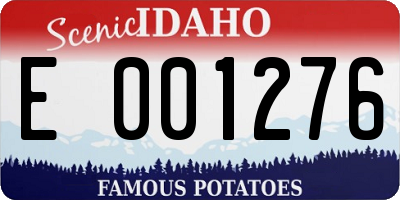 ID license plate E001276