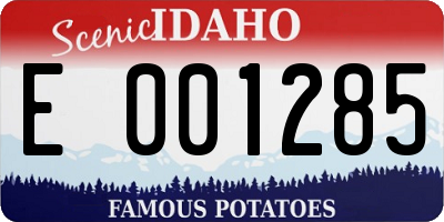 ID license plate E001285