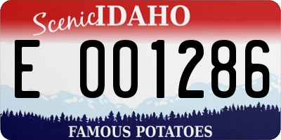 ID license plate E001286