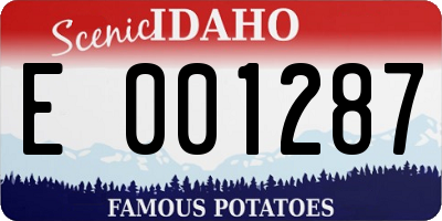 ID license plate E001287