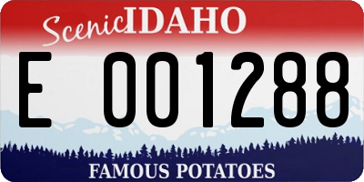 ID license plate E001288