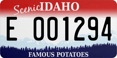 ID license plate E001294