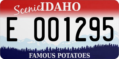 ID license plate E001295