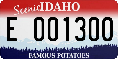 ID license plate E001300