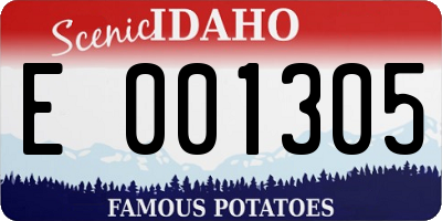 ID license plate E001305