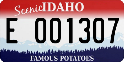 ID license plate E001307