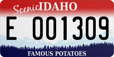 ID license plate E001309