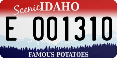 ID license plate E001310