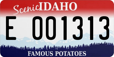 ID license plate E001313