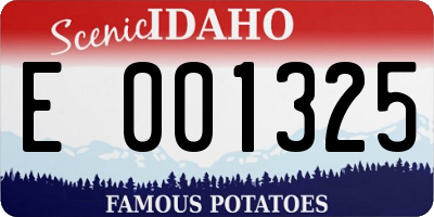 ID license plate E001325