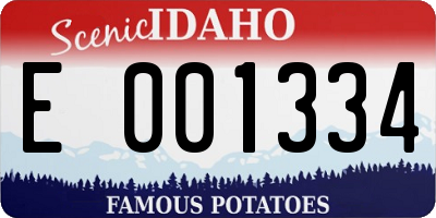 ID license plate E001334