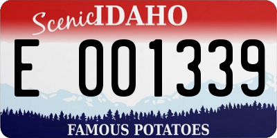 ID license plate E001339