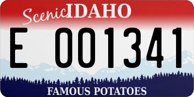 ID license plate E001341