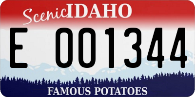 ID license plate E001344