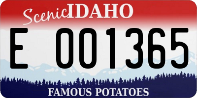 ID license plate E001365