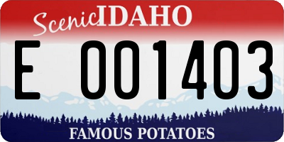 ID license plate E001403