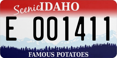 ID license plate E001411