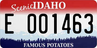 ID license plate E001463
