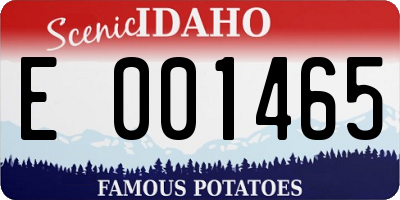 ID license plate E001465