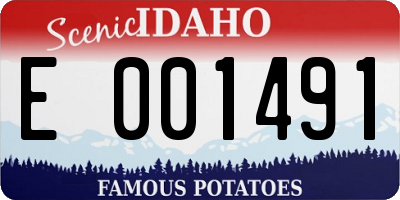 ID license plate E001491