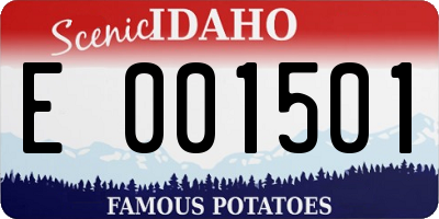 ID license plate E001501