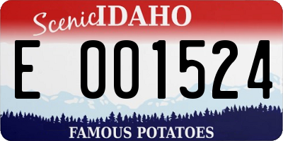 ID license plate E001524