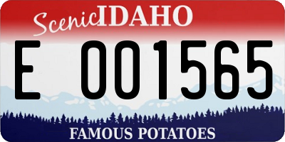 ID license plate E001565