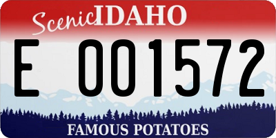 ID license plate E001572