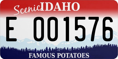 ID license plate E001576