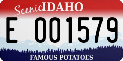 ID license plate E001579