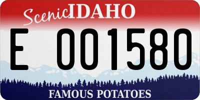 ID license plate E001580