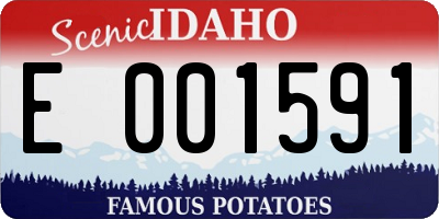 ID license plate E001591