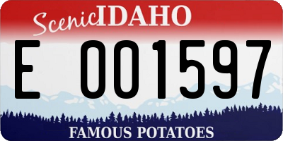 ID license plate E001597