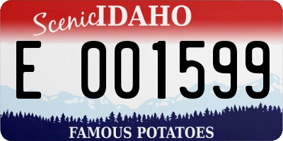 ID license plate E001599