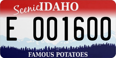 ID license plate E001600