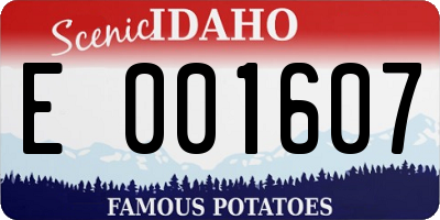 ID license plate E001607