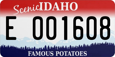 ID license plate E001608