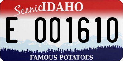 ID license plate E001610