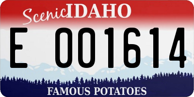 ID license plate E001614