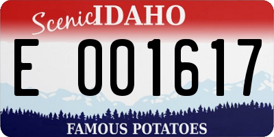 ID license plate E001617