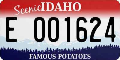 ID license plate E001624