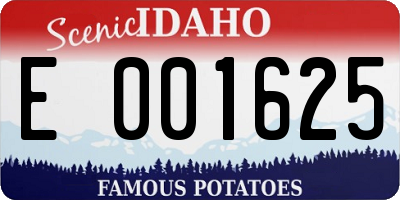 ID license plate E001625