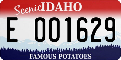 ID license plate E001629