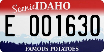 ID license plate E001630